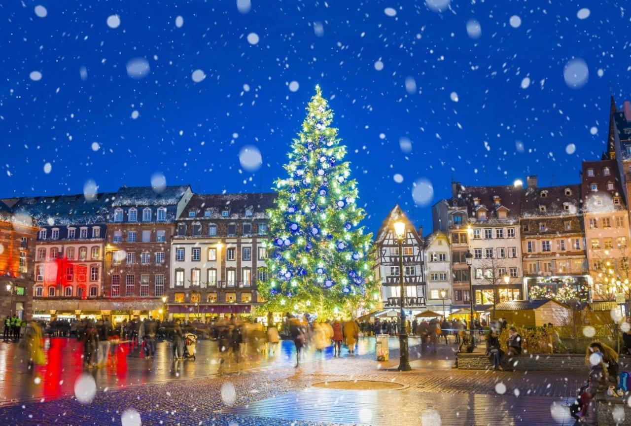 Appartements De La Pleiade Strasbourg Kültér fotó